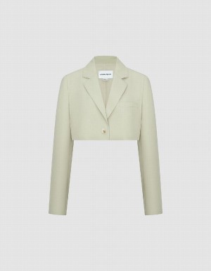Blazer Urban Revivo Tailored A-Line Femme Vert | AFZ8837BB