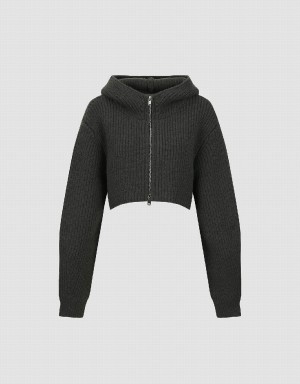 Cardigan Urban Revivo Zippé Front Encapuchonné Tricoté Femme Grise | IDI4650HB