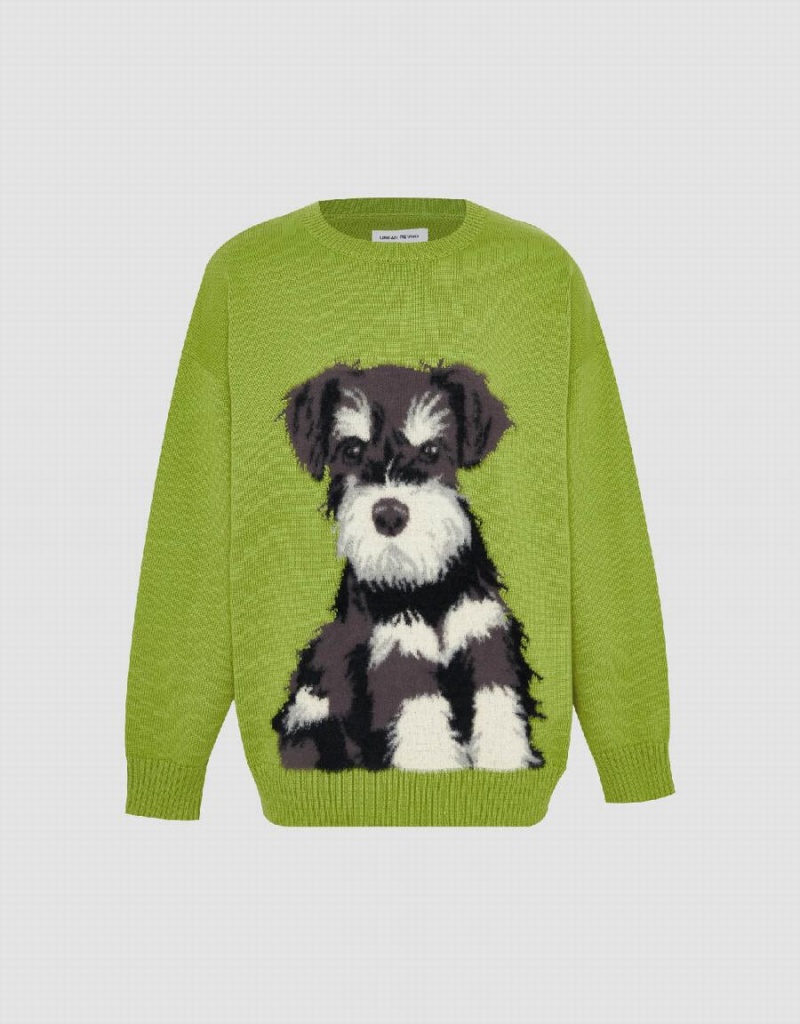 Cardigan Urban Revivo Animal Embroidered Tricoté Homme Vert | IPA3650YL