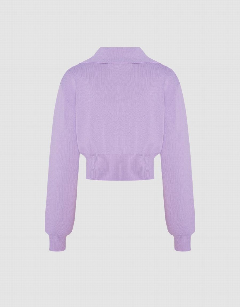Cardigan Urban Revivo Cropped Knit Femme Violette | VEP2438RL