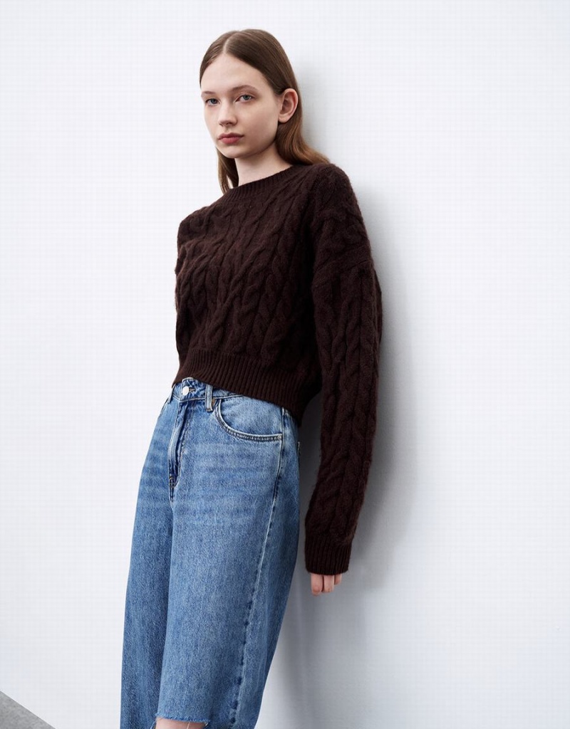 Cardigan Urban Revivo Drop Shoulder Sleeve Crew Neck Tricoté Femme Marron | ENY1756AA