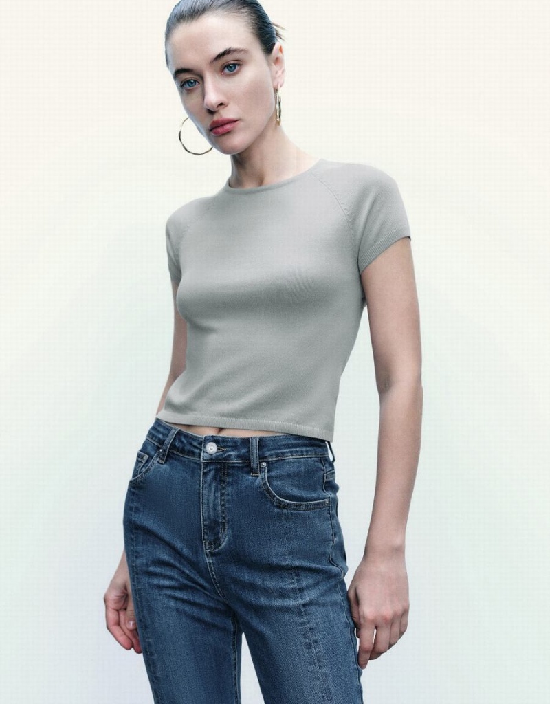 Cardigan Urban Revivo Mince Crew Neck Tricoté Femme Grise Clair | EKX6962ZV