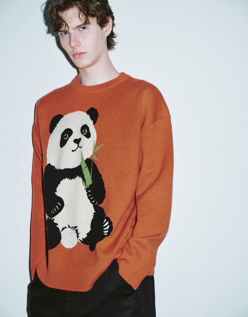 Cardigan Urban Revivo Panda Embroidered Tricoté Homme Orange | VAN5278UM