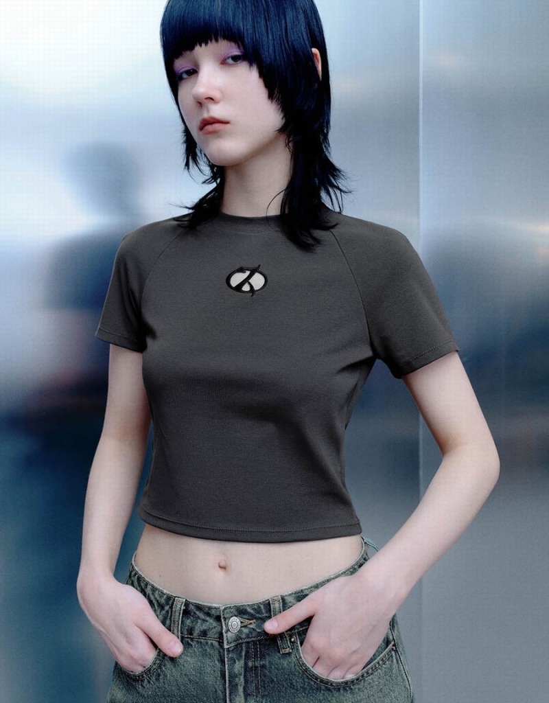 T Shirts Urban Revivo Printed Raglan Sleeve Crew Neck Mince Femme Grise | RTN5874CW
